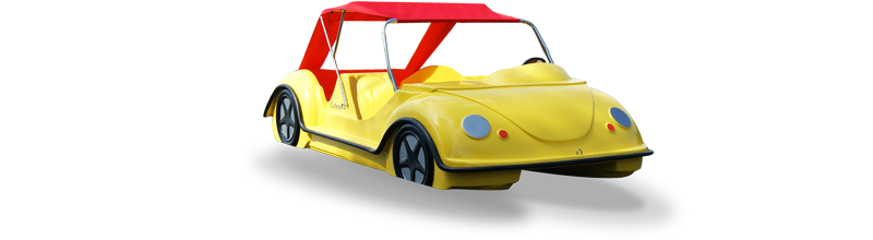 TRETBOOT BEETLE
