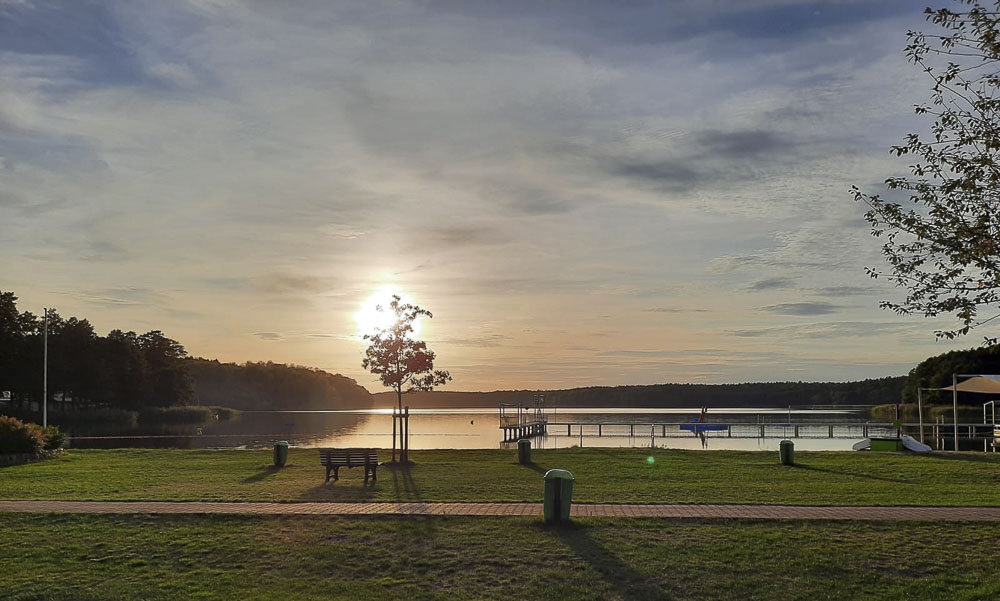 Ein stimmungsvoller Sonnenuntergang über dem Wolletzsee im Strandbad Wolletzsee. Die Sonne geht am Horizont hinter den bewaldeten Ufern auf und spiegelt sich im ruhigen Wasser. Im Vordergrund sind eine gepflegte Rasenfläche mit einer Parkbank, Mülleimern und jungen Bäumen sowie im rechten Bereich Teile der Steganlage zu sehen.